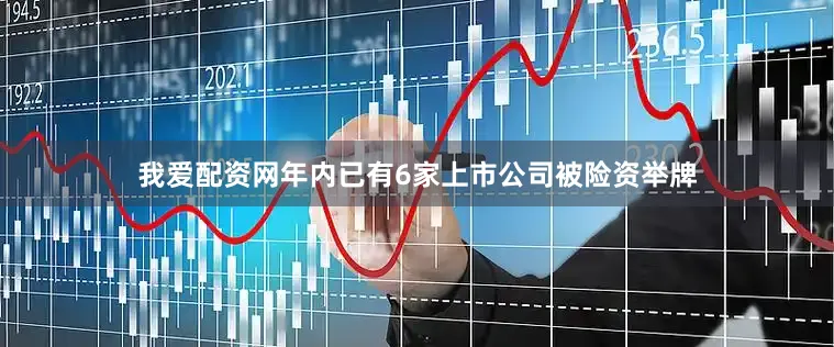 我爱配资网年内已有6家上市公司被险资举牌