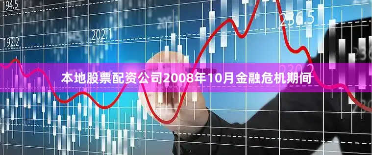 本地股票配资公司2008年10月金融危机期间