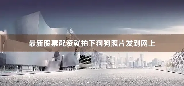 最新股票配资就拍下狗狗照片发到网上