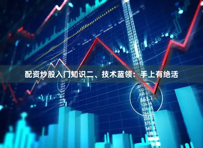 配资炒股入门知识二、技术蓝领：手上有绝活